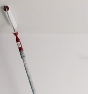 brush-roller-with-extension-ceiling