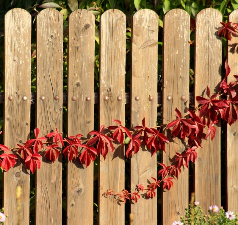 wood-fence-min